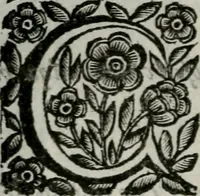 An illustration from Scena letteraria de gli scrittori bergamaschi aperta alla cvriosità de svoi concittadini .. (1664)