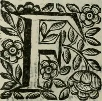 Picture 207 of 328 from Scena letteraria de gli scrittori bergamaschi aperta alla cvriosità de svoi concittadini .. (1664), leaf 392