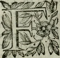 An illustration from Scena letteraria de gli scrittori bergamaschi aperta alla cvriosità de svoi concittadini .. (1664)