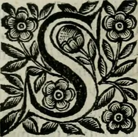 An illustration from Scena letteraria de gli scrittori bergamaschi aperta alla cvriosità de svoi concittadini .. (1664)