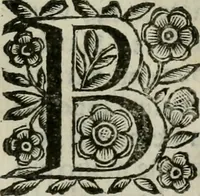 An illustration from Scena letteraria de gli scrittori bergamaschi aperta alla cvriosità de svoi concittadini .. (1664)