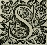 An illustration from Scena letteraria de gli scrittori bergamaschi aperta alla cvriosità de svoi concittadini .. (1664)