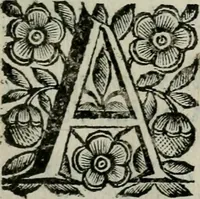 An illustration from Scena letteraria de gli scrittori bergamaschi aperta alla cvriosità de svoi concittadini .. (1664)