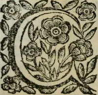 An illustration from Scena letteraria de gli scrittori bergamaschi aperta alla cvriosità de svoi concittadini .. (1664)