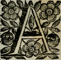 An illustration from Scena letteraria de gli scrittori bergamaschi aperta alla cvriosità de svoi concittadini .. (1664)