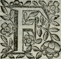An illustration from Scena letteraria de gli scrittori bergamaschi aperta alla cvriosità de svoi concittadini .. (1664)