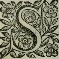 Picture 263 of 328 from Scena letteraria de gli scrittori bergamaschi aperta alla cvriosità de svoi concittadini .. (1664), leaf 502