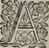 An illustration from Scena letteraria de gli scrittori bergamaschi aperta alla cvriosità de svoi concittadini .. (1664)