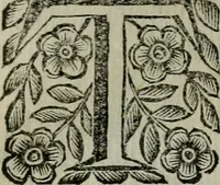 An illustration from Scena letteraria de gli scrittori bergamaschi aperta alla cvriosità de svoi concittadini .. (1664)