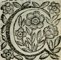 An illustration from Scena letteraria de gli scrittori bergamaschi aperta alla cvriosità de svoi concittadini .. (1664)