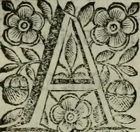 An illustration from Scena letteraria de gli scrittori bergamaschi aperta alla cvriosità de svoi concittadini .. (1664)