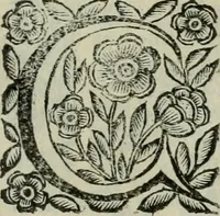 An illustration from Scena letteraria de gli scrittori bergamaschi aperta alla cvriosità de svoi concittadini .. (1664)