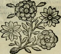 An illustration from Scena letteraria de gli scrittori bergamaschi aperta alla cvriosità de svoi concittadini .. (1664)