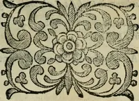 Picture 299 of 328 from Scena letteraria de gli scrittori bergamaschi aperta alla cvriosità de svoi concittadini .. (1664), leaf 576