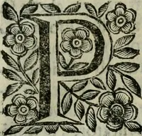 An illustration from Scena letteraria de gli scrittori bergamaschi aperta alla cvriosità de svoi concittadini .. (1664)