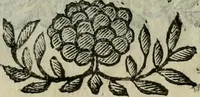 An illustration from Scena letteraria de gli scrittori bergamaschi aperta alla cvriosità de svoi concittadini .. (1664)