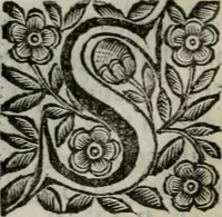 Picture 303 of 328 from Scena letteraria de gli scrittori bergamaschi aperta alla cvriosità de svoi concittadini .. (1664), leaf 581