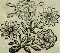 Picture 304 of 328 from Scena letteraria de gli scrittori bergamaschi aperta alla cvriosità de svoi concittadini .. (1664), leaf 582