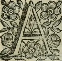 Picture 306 of 328 from Scena letteraria de gli scrittori bergamaschi aperta alla cvriosità de svoi concittadini .. (1664), leaf 584