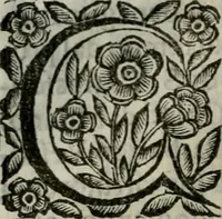 An illustration from Scena letteraria de gli scrittori bergamaschi aperta alla cvriosità de svoi concittadini .. (1664)