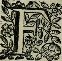 An illustration from Scena letteraria de gli scrittori bergamaschi aperta alla cvriosità de svoi concittadini .. (1664)