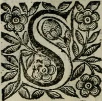 An illustration from Scena letteraria de gli scrittori bergamaschi aperta alla cvriosità de svoi concittadini .. (1664)