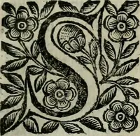 An illustration from Scena letteraria de gli scrittori bergamaschi aperta alla cvriosità de svoi concittadini .. (1664)