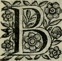 An illustration from Scena letteraria de gli scrittori bergamaschi aperta alla cvriosità de svoi concittadini .. (1664)
