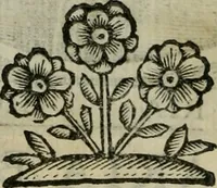 An illustration from Scena letteraria de gli scrittori bergamaschi aperta alla cvriosità de svoi concittadini .. (1664)