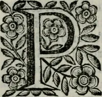 An illustration from Scena letteraria de gli scrittori bergamaschi aperta alla cvriosità de svoi concittadini .. (1664)