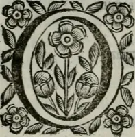 An illustration from Scena letteraria de gli scrittori bergamaschi aperta alla cvriosità de svoi concittadini .. (1664)