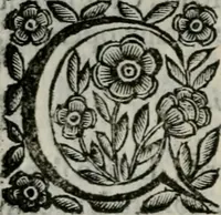 Picture 37 of 328 from Scena letteraria de gli scrittori bergamaschi aperta alla cvriosità de svoi concittadini .. (1664), leaf 73