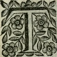 An illustration from Scena letteraria de gli scrittori bergamaschi aperta alla cvriosità de svoi concittadini .. (1664)