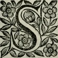 An illustration from Scena letteraria de gli scrittori bergamaschi aperta alla cvriosità de svoi concittadini .. (1664)