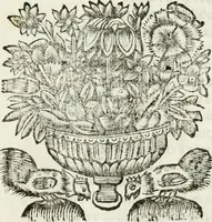 An illustration from Scherzi armoniosi (1658)