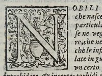 An illustration from Scherzi degli spiriti animali dettati con l'occasione de l'oscurazione de l'anno 1605 (1605)