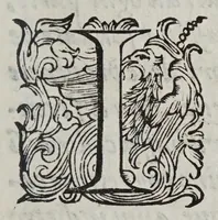 An illustration from Scherzi degli spiriti animali dettati con l'occasione de l'oscurazione de l'anno 1605 (1605)