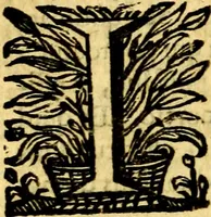 An illustration from Schola cordis siue aversi à deo cordis ac eumdem reductio, et instructio .. (1663)