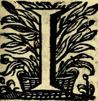 An illustration from Schola cordis siue aversi à deo cordis ac eumdem reductio, et instructio .. (1663)