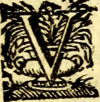 An illustration from Schola cordis siue aversi à deo cordis ac eumdem reductio, et instructio .. (1663)