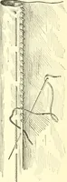 An illustration from School needlework; a book written for the beginner of any age and in any school (1922)