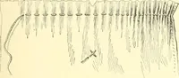 An illustration from School needlework; a book written for the beginner of any age and in any school (1922)