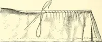 An illustration from School needlework; a book written for the beginner of any age and in any school (1922)