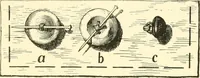An illustration from School needlework; a book written for the beginner of any age and in any school (1922)