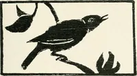 Picture 55 of 70 from The school printshop (1919), leaf 218