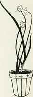 Picture 70 of 70 from The school printshop (1919), leaf 227
