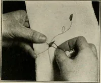 An illustration from School sewing based on home problems (1916)