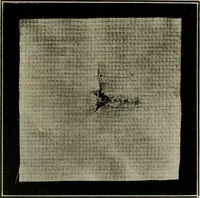 An illustration from School sewing based on home problems (1916)