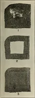 An illustration from School sewing based on home problems (1916)