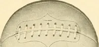 An illustration from School tactics and maze running (1916)